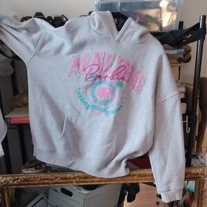 Barbie Gray and Pink Malibu Sweater